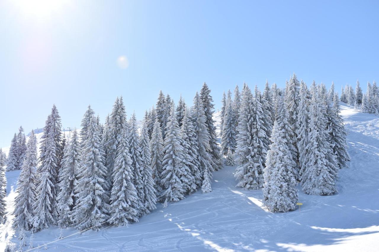 Gorstak I I II Apartman Jahorina Kültér fotó